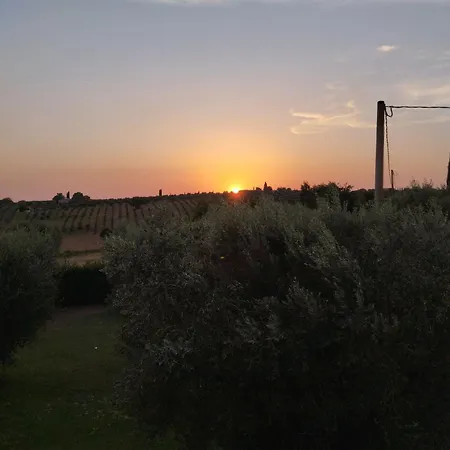 Podere 329 Alloggio per agriturismo Magliano in Toscana