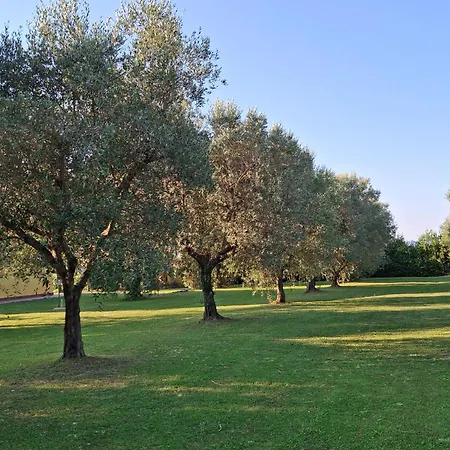Bauernhof Podere 329 Magliano in Toscana